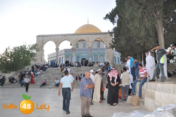 aqsa lud ahaly 712 (31).JPG